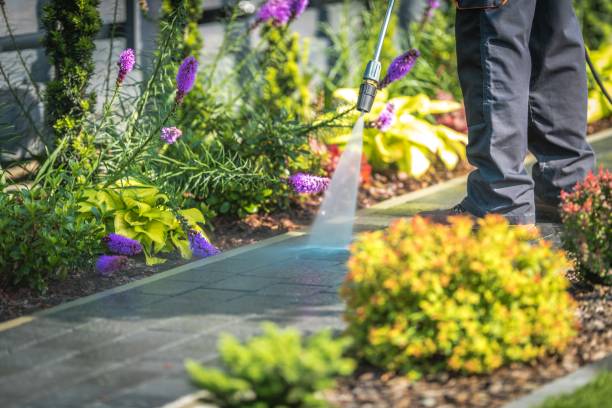 Reliable Clayton, NJ Pressure Washing Services Solutions